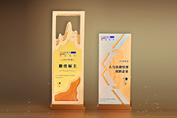 USDT钱包下载指南国际一举斩获“2024年度中国区最佳雇主”等多项大奖